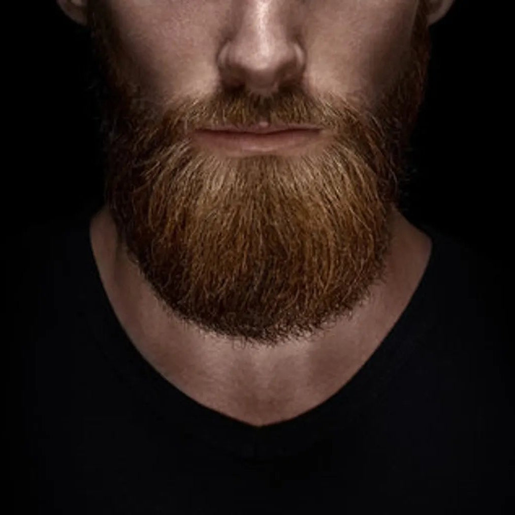 Close-up of a man with a full beard against a black background