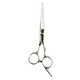 Hair cutting scissors on a transparent background
